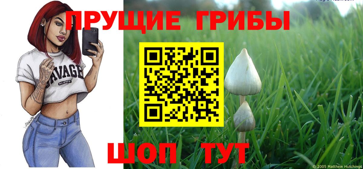 Галлюциногенные грибы ЛСД Ярцево